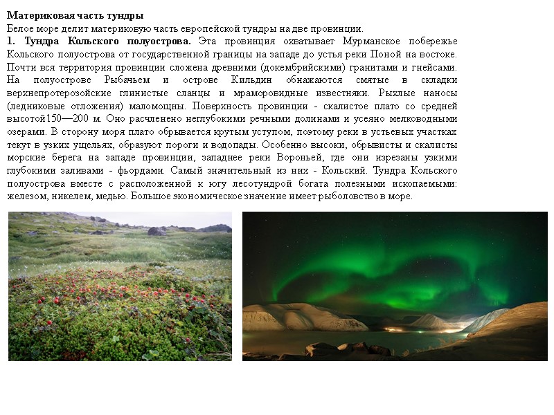 Материковая часть тундры Белое море делит материковую часть европейской тундры на две провинции. 1.